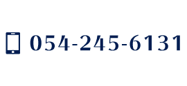 TEL 054-245-6131